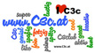 C3c-Wordle
